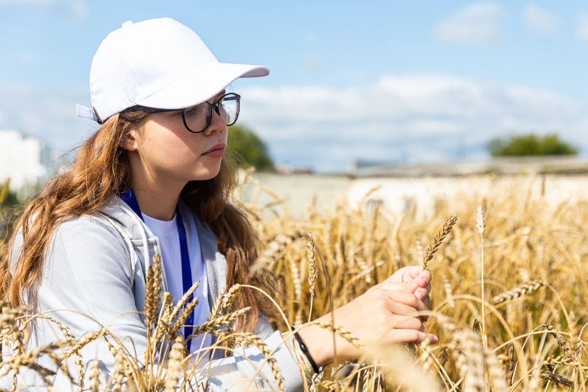 俄罗斯国立农业大学 - 蒂米里亚泽夫农业大学