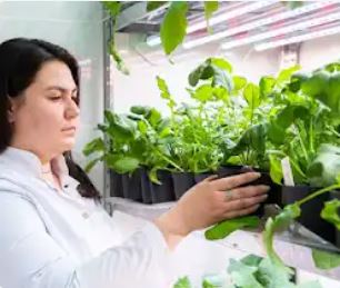 俄罗斯国立农业大学 - 蒂米里亚泽夫农业大学