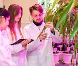 俄罗斯国立农业大学 - 蒂米里亚泽夫农业大学